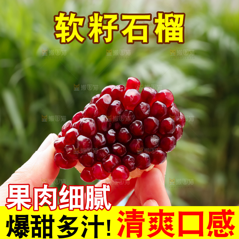 软籽石榴