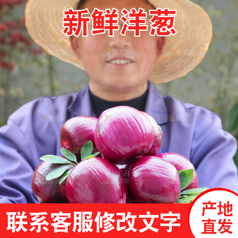 洋葱