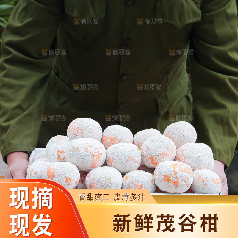 茂谷柑