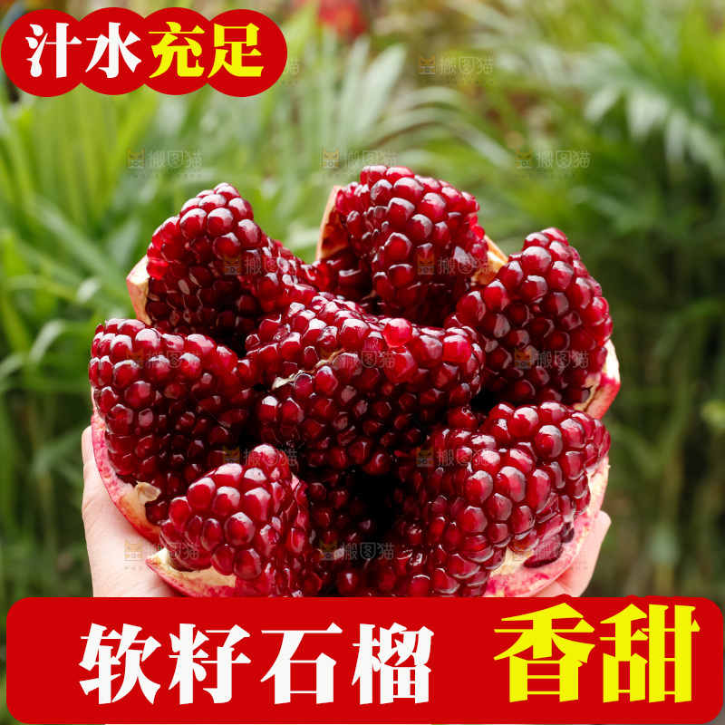 软籽石榴