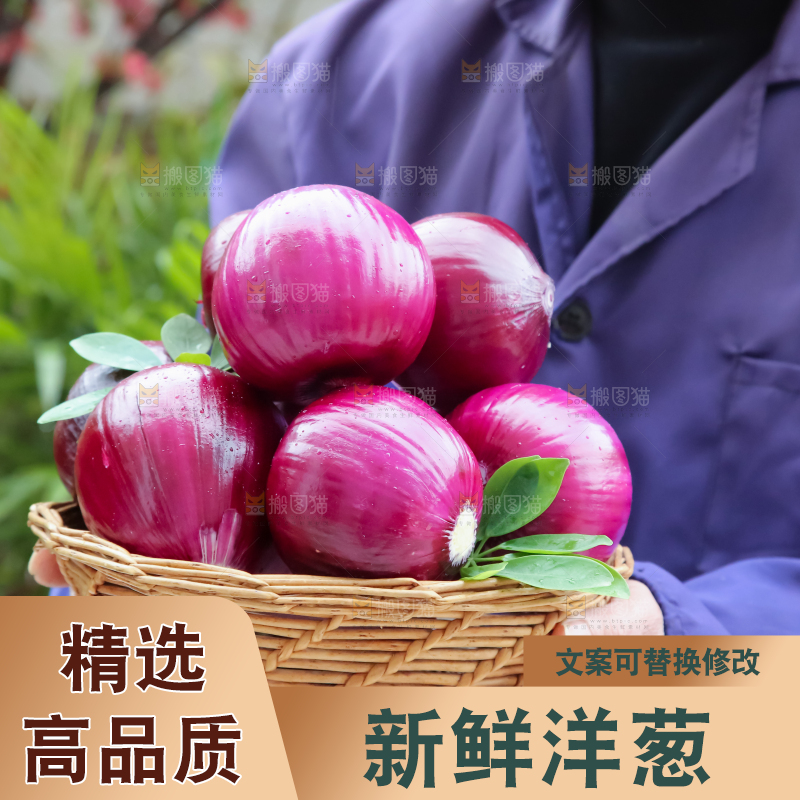 洋葱