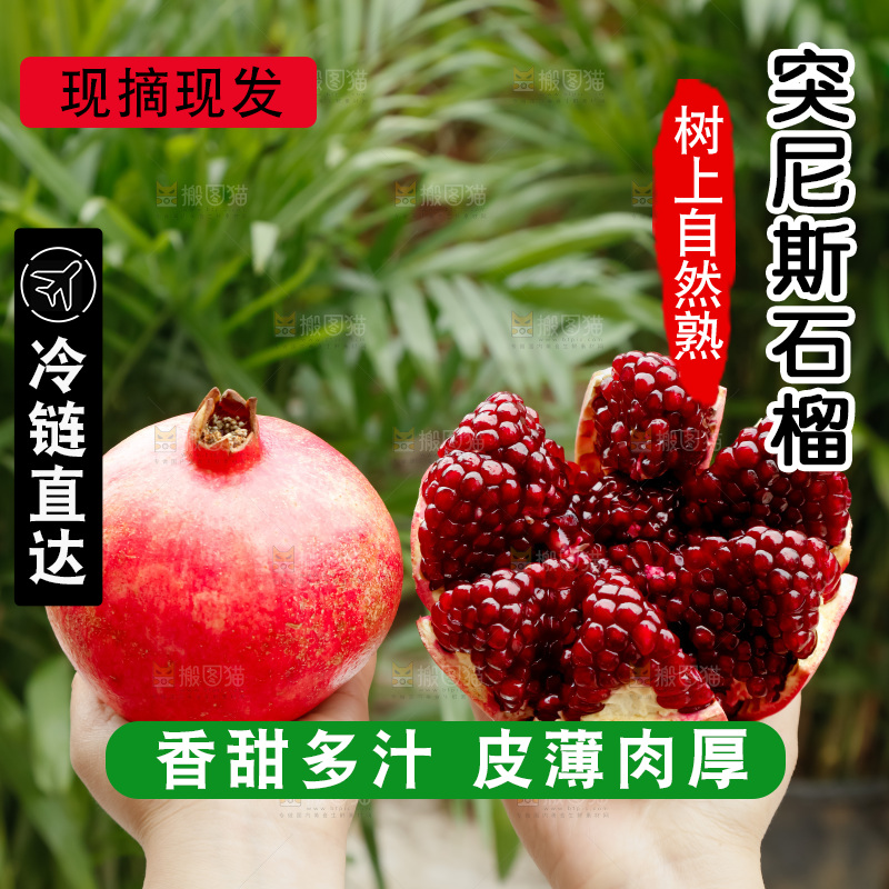 软籽石榴