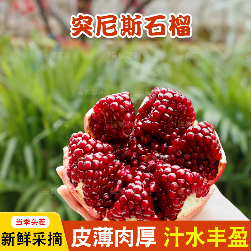 软籽石榴