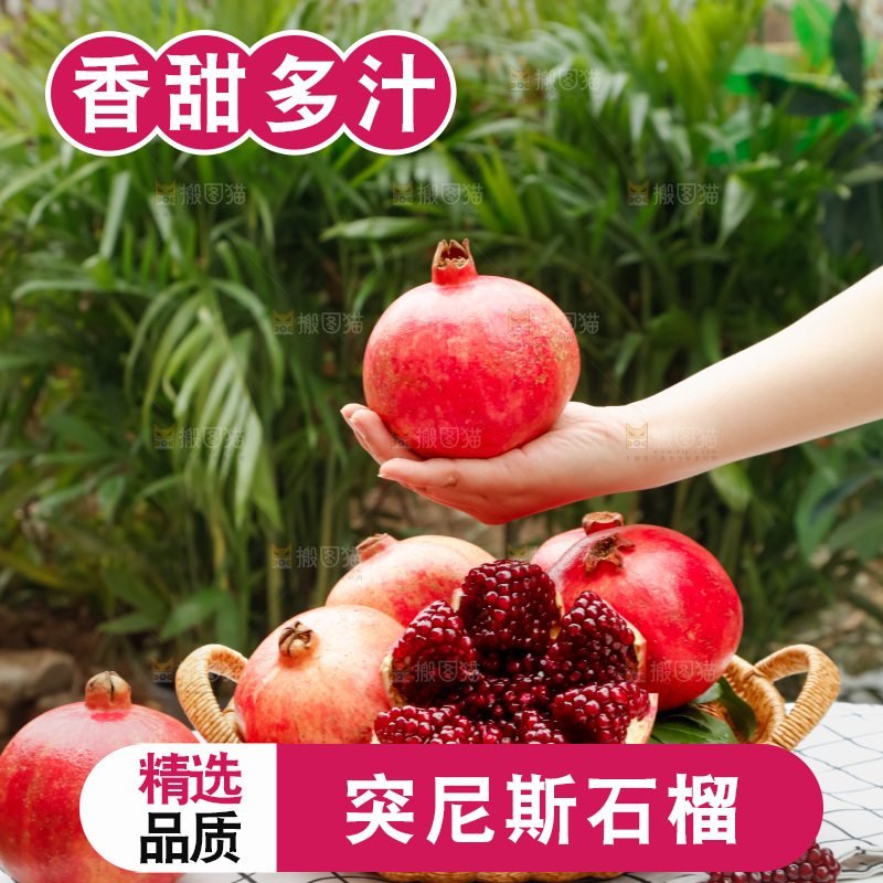 软籽石榴
