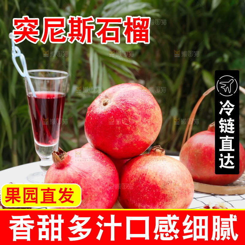 软籽石榴