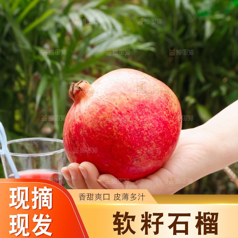 软籽石榴