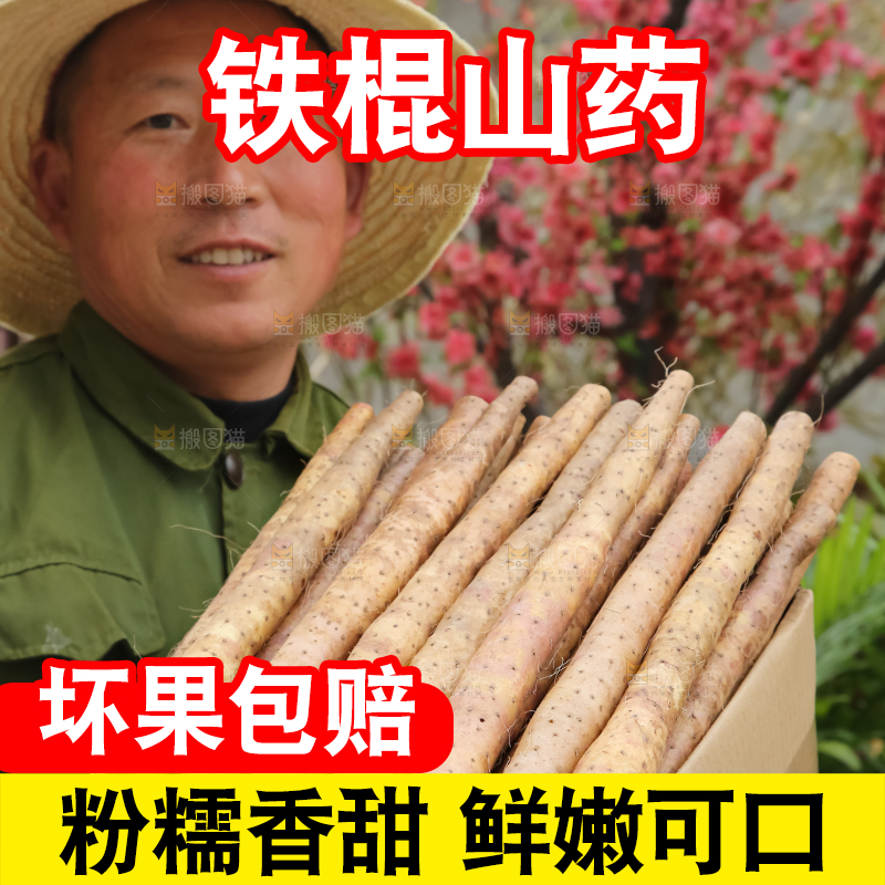 铁棍山药