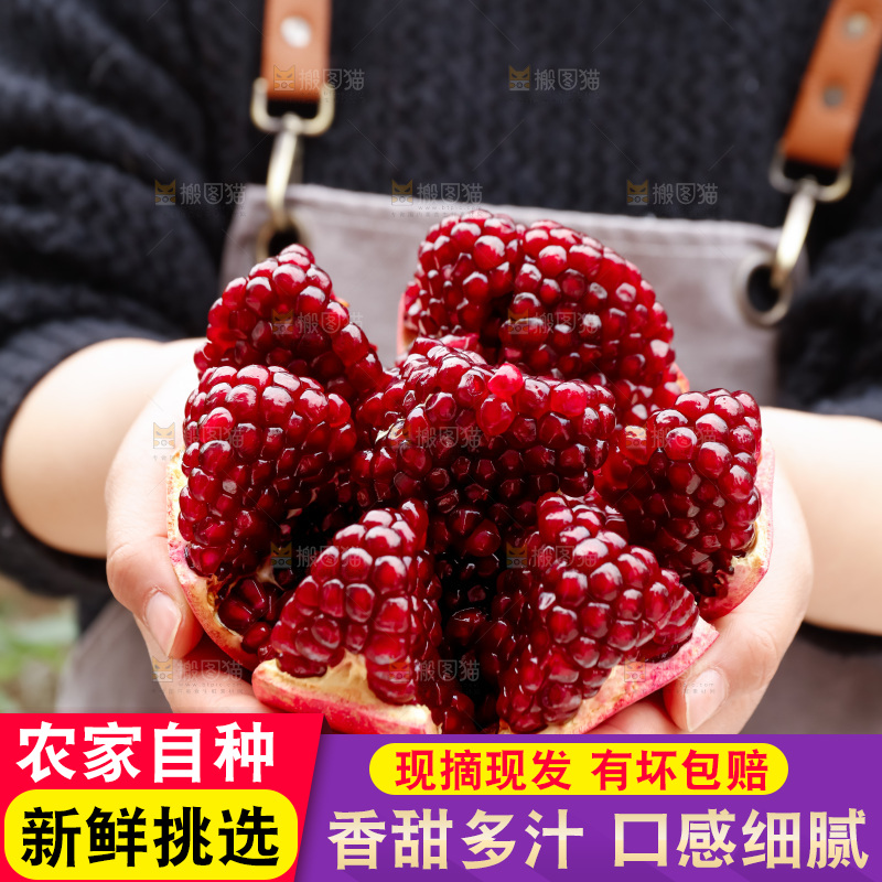 软籽石榴