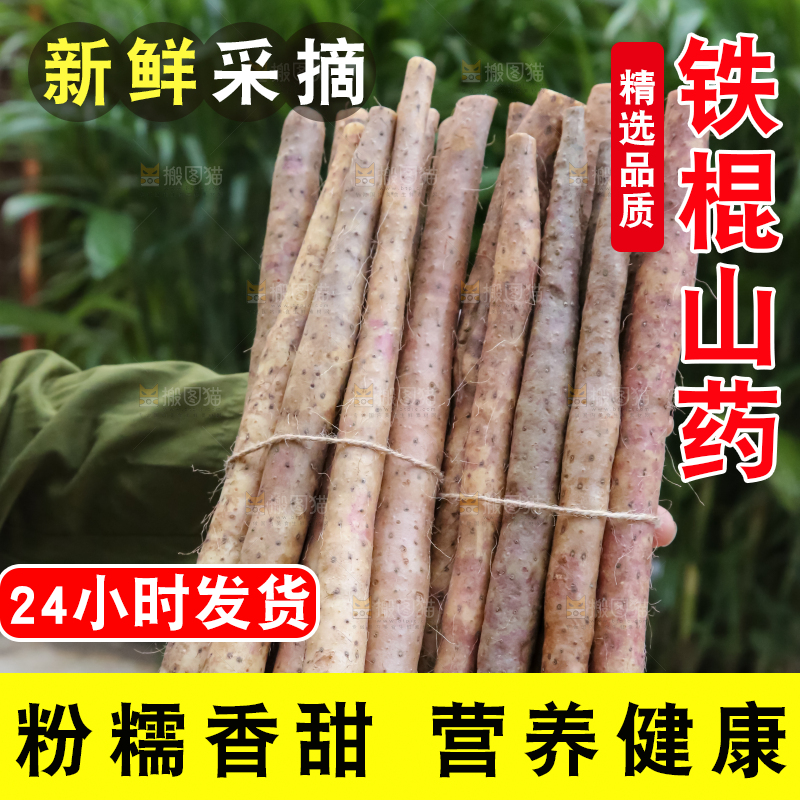 铁棍山药