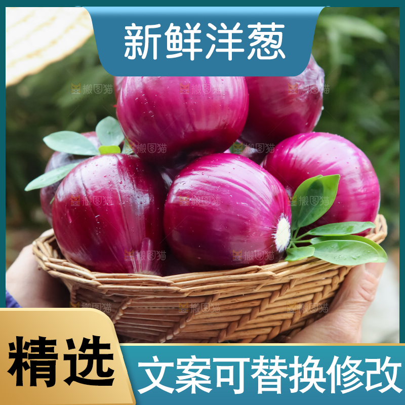 洋葱