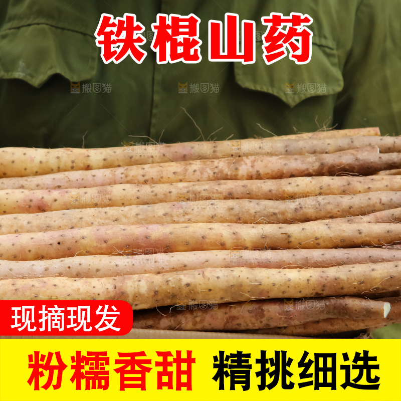 铁棍山药