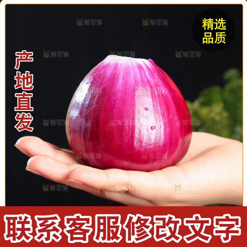 洋葱