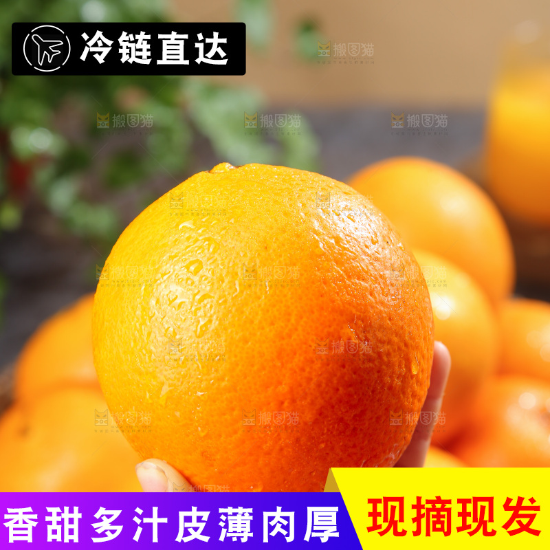 脐橙