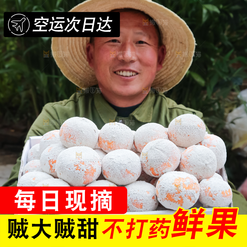 茂谷柑