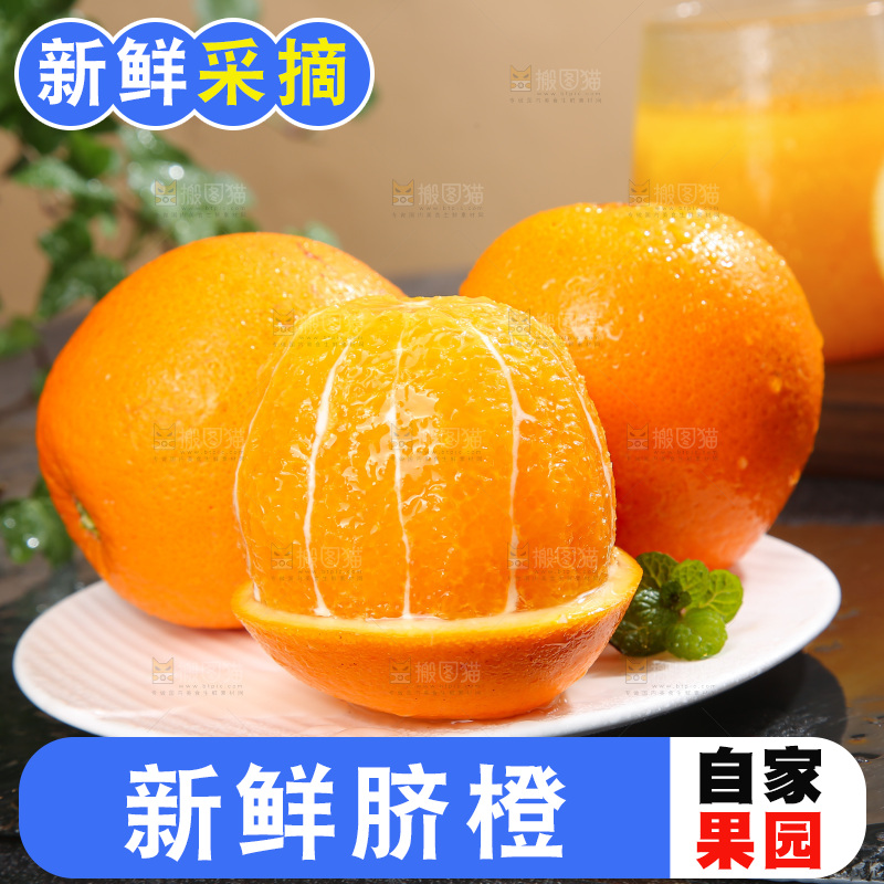 脐橙