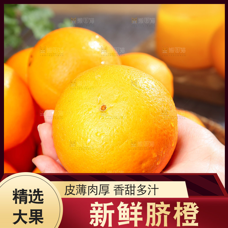 脐橙