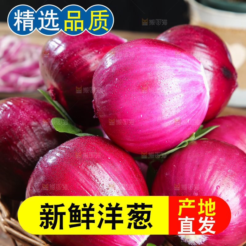 洋葱