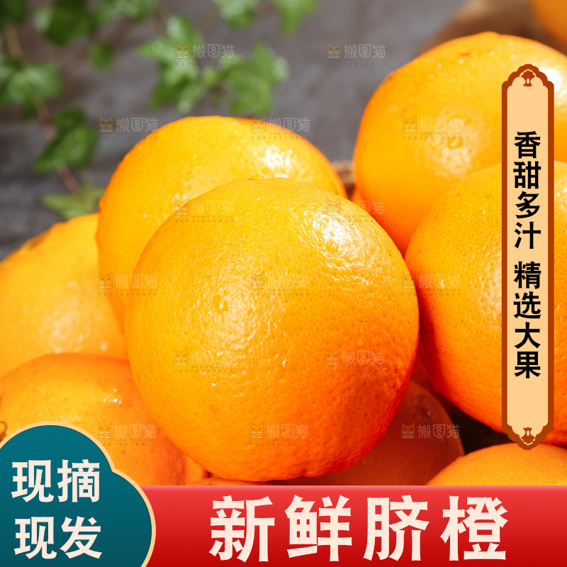 脐橙