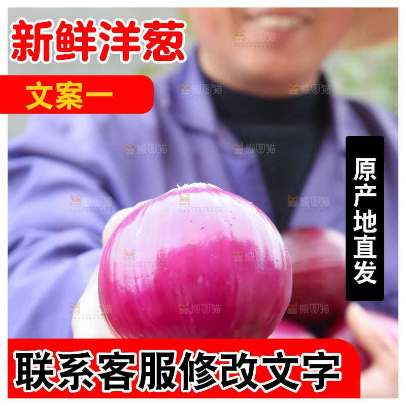 洋葱