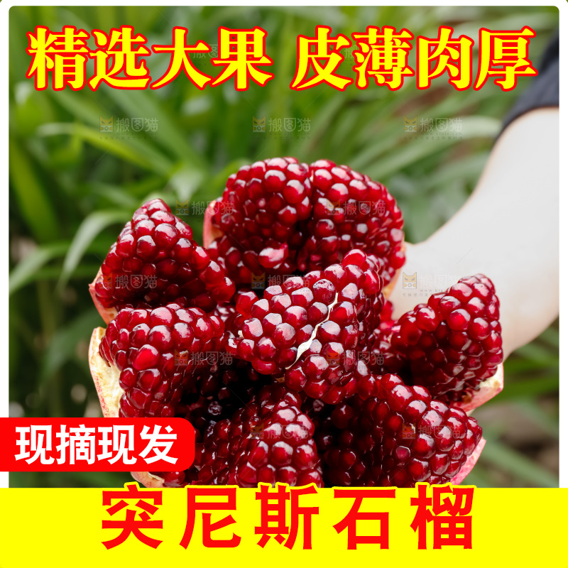 软籽石榴