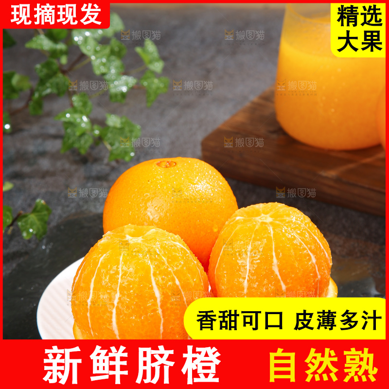 脐橙