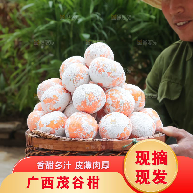 茂谷柑