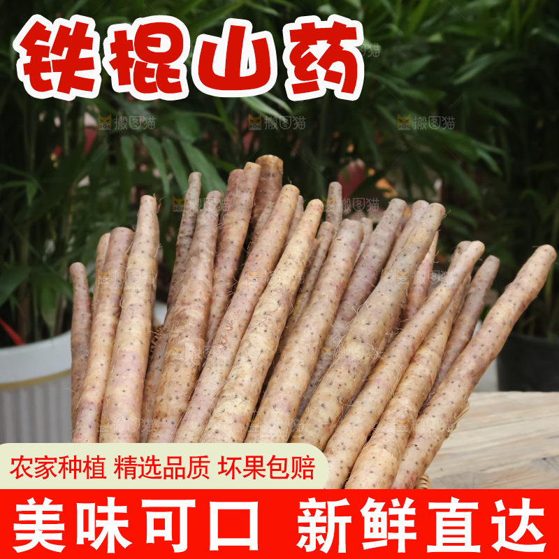 铁棍山药