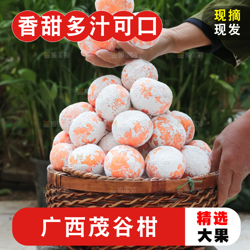 茂谷柑