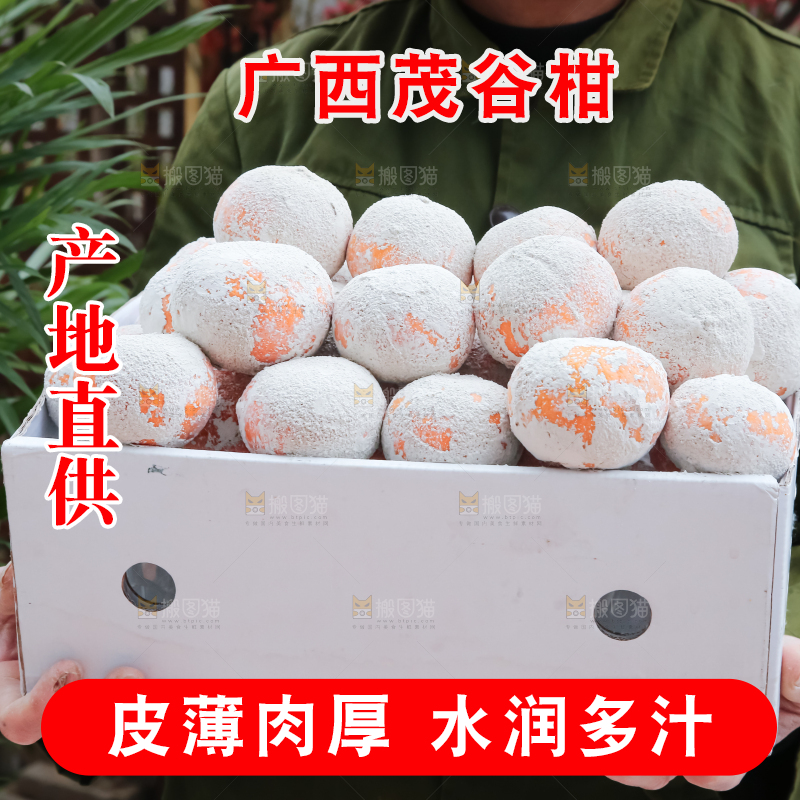 茂谷柑