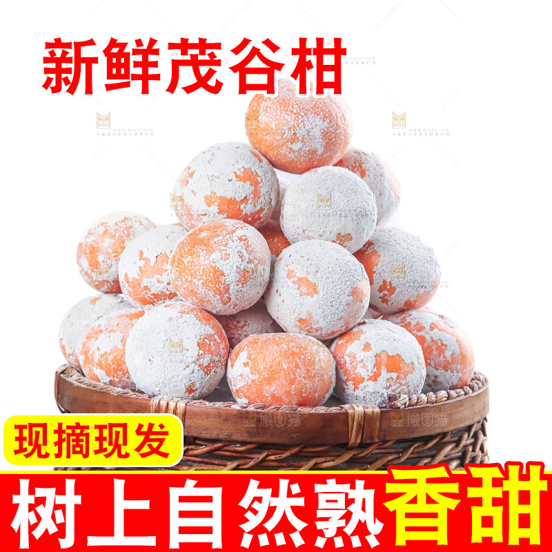 茂谷柑