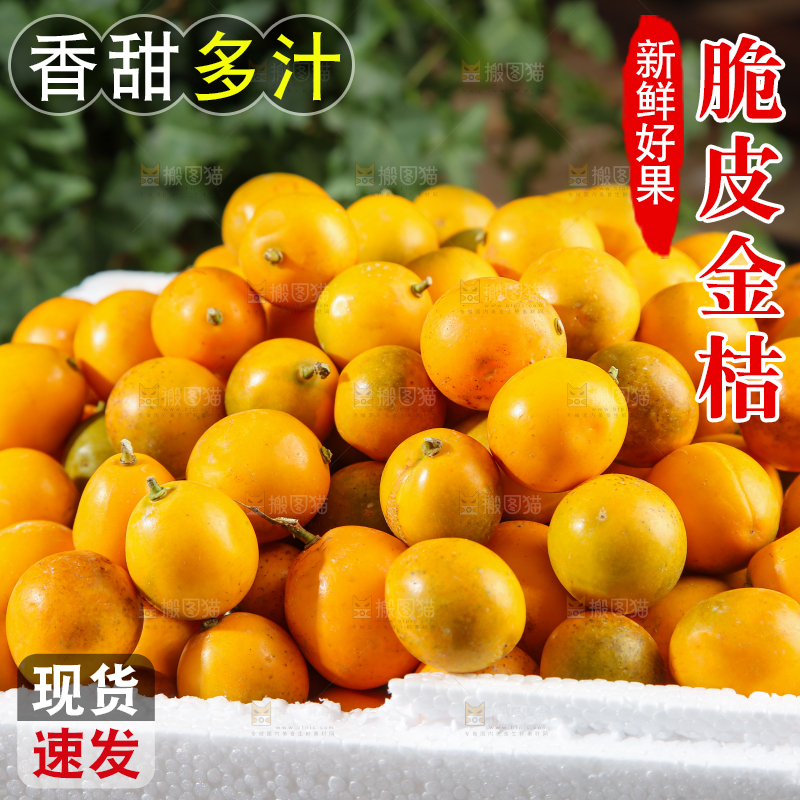 脆皮金桔