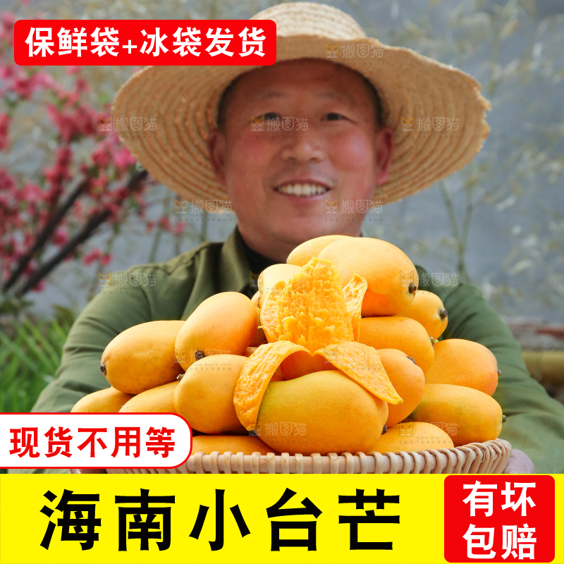 小台芒