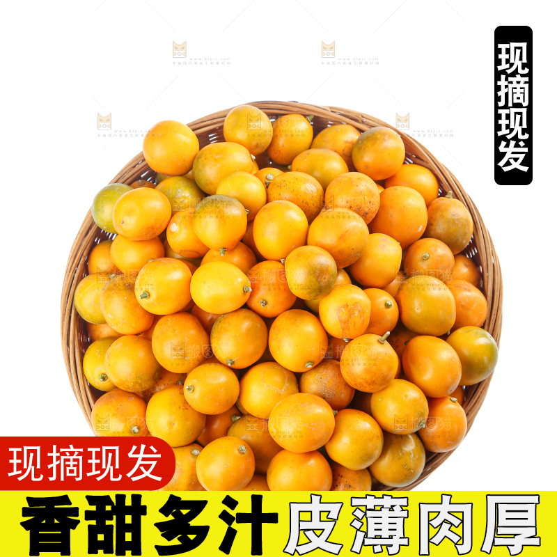 脆皮金桔