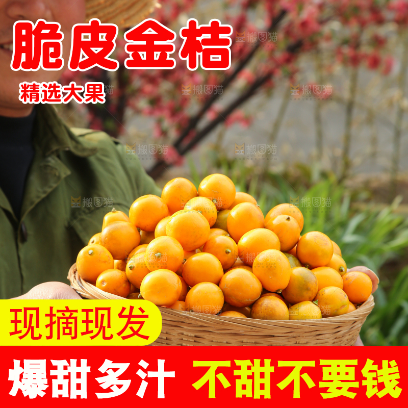 脆皮金桔