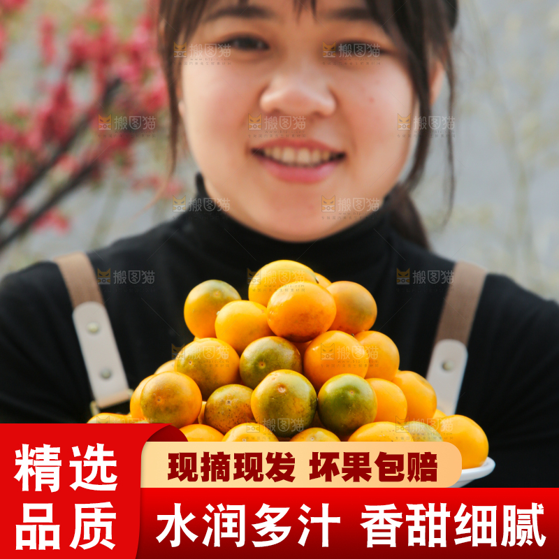 脆皮金桔