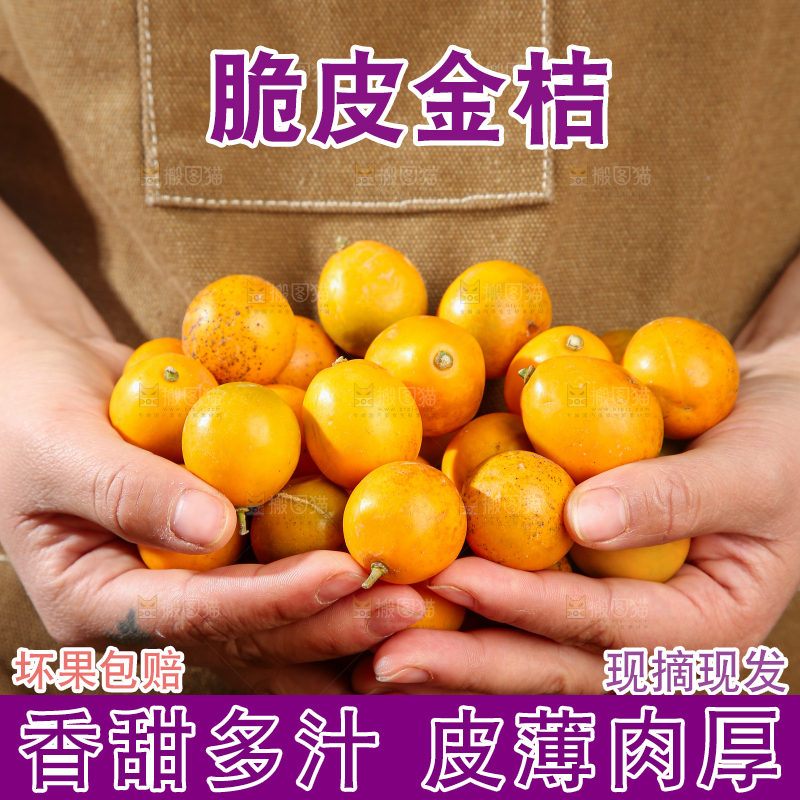 脆皮金桔