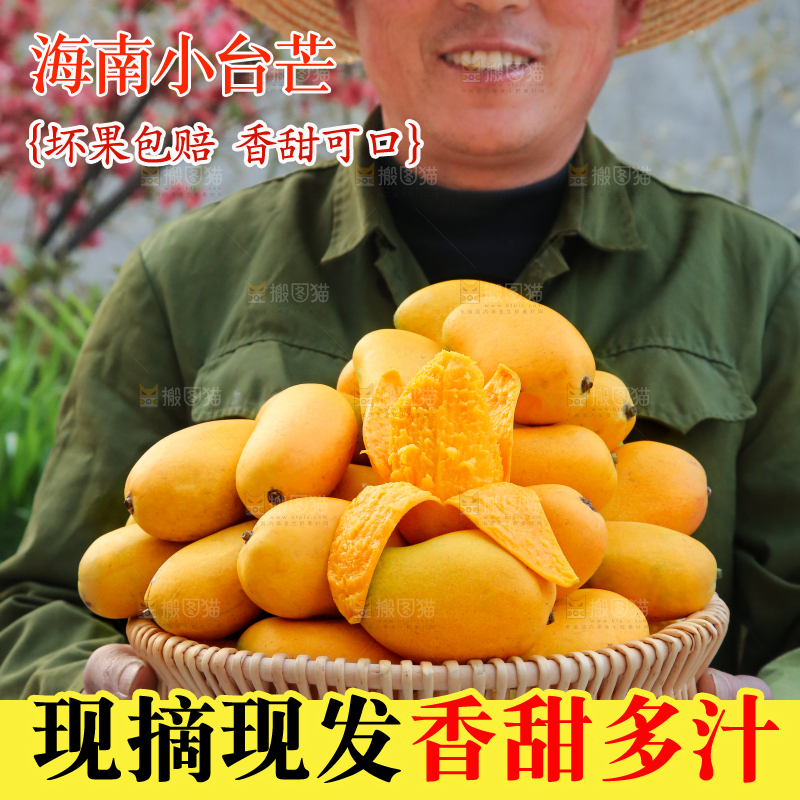 小台芒