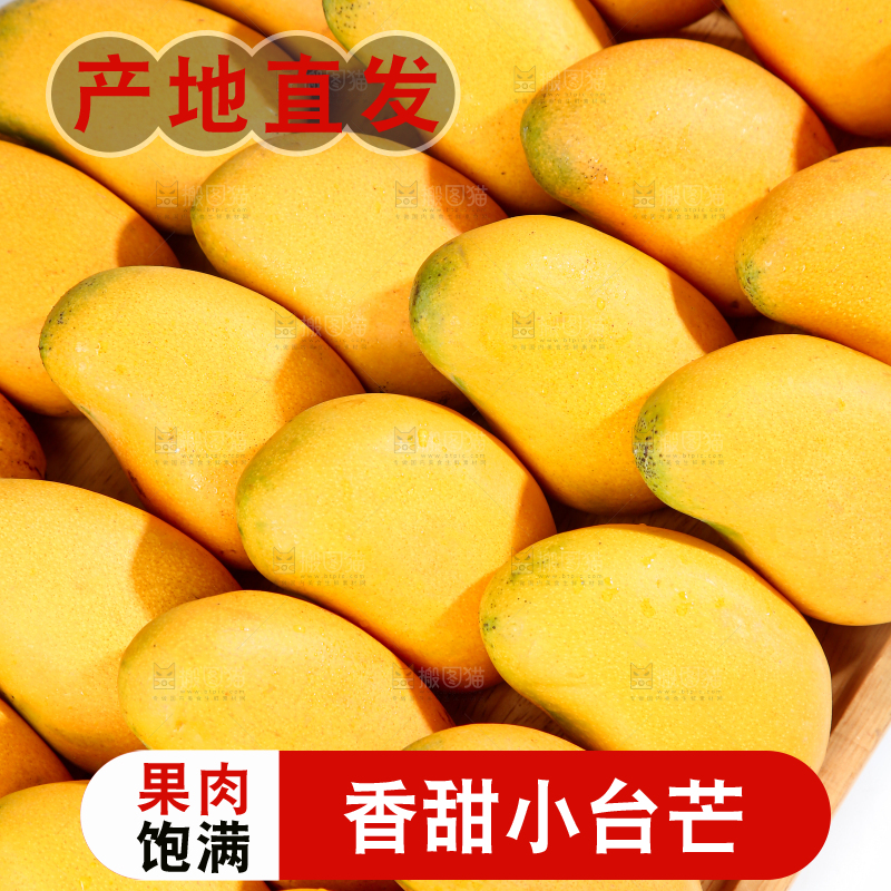 小台芒