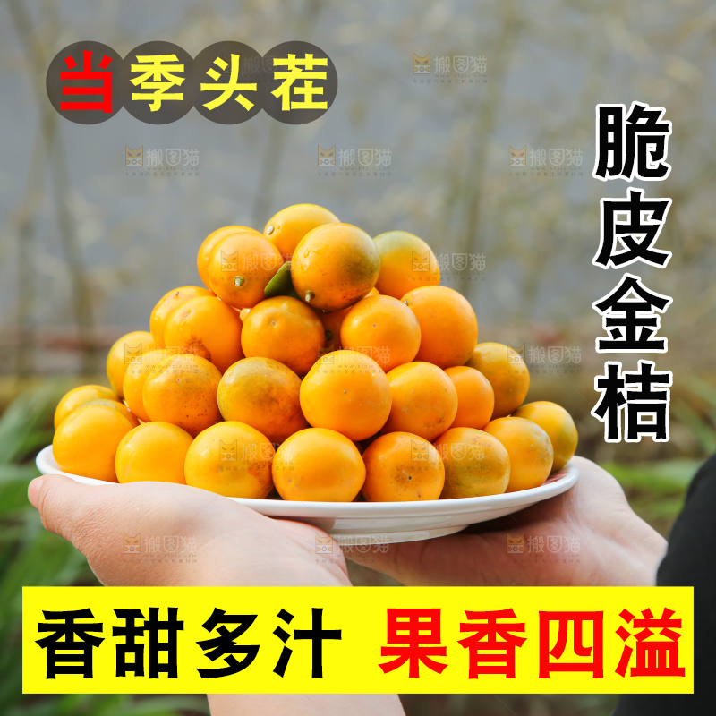 脆皮金桔