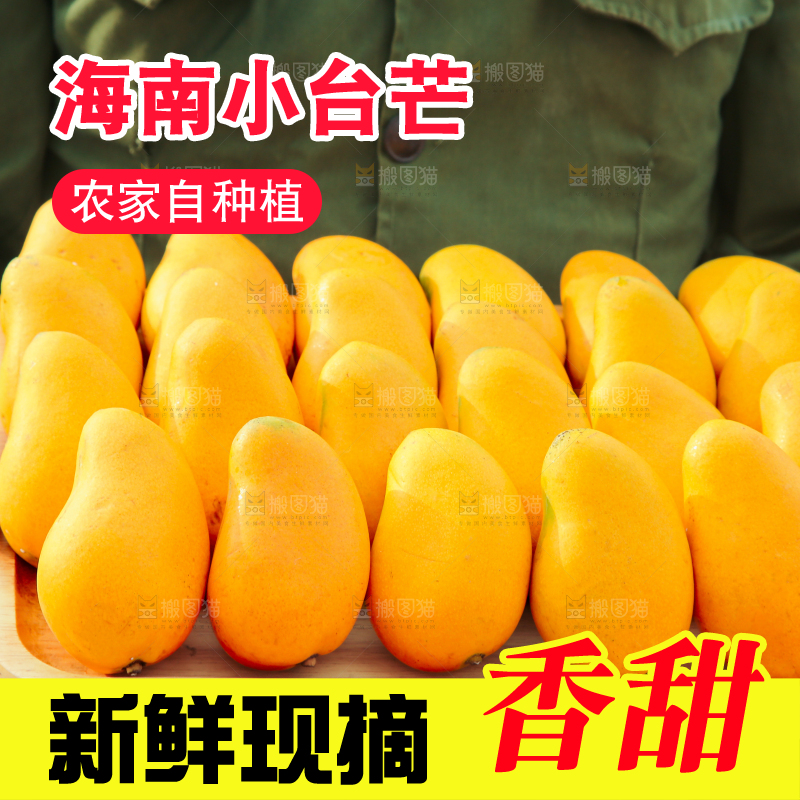 小台芒