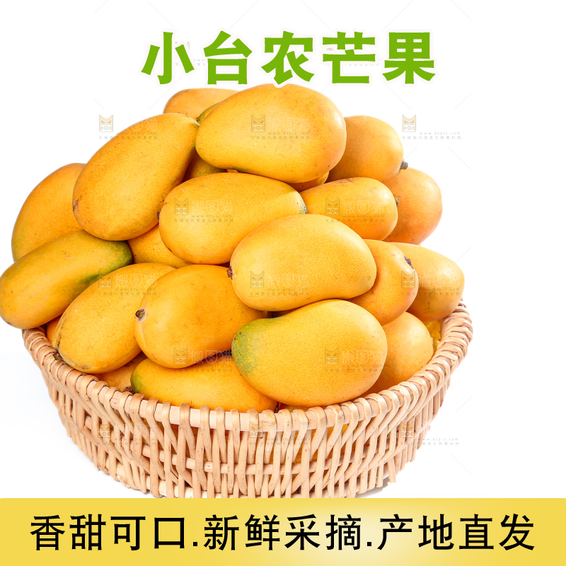 小台芒