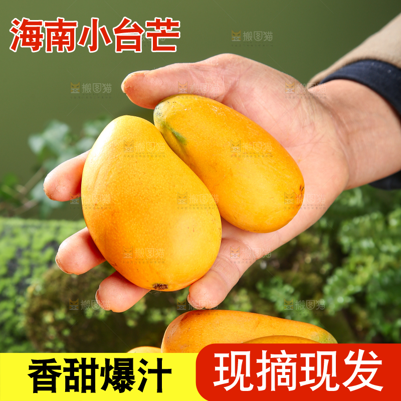 小台芒