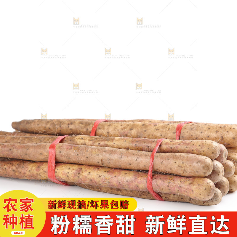 铁棍山药