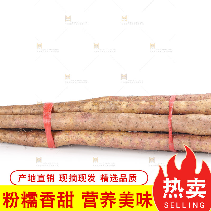 铁棍山药