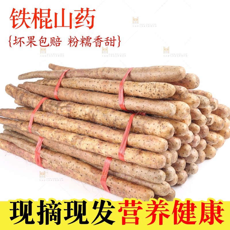 铁棍山药