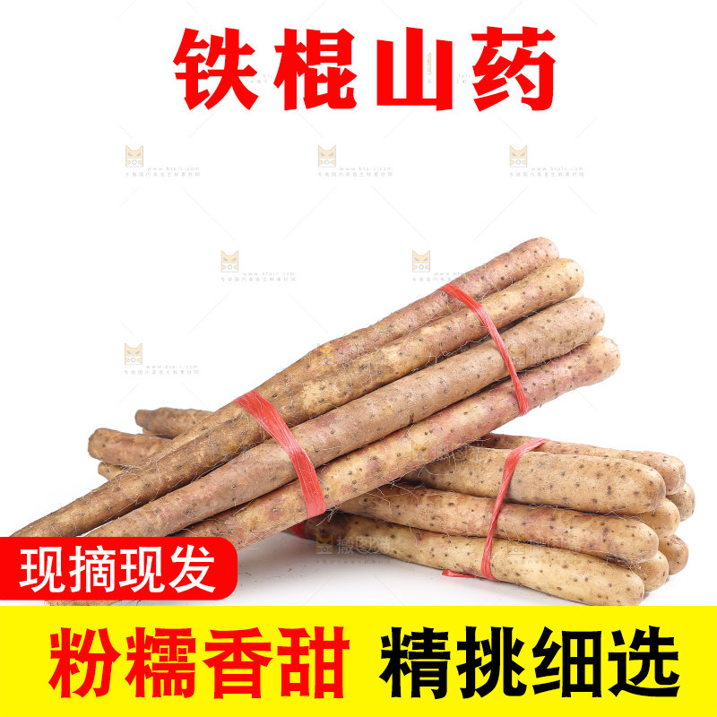 铁棍山药