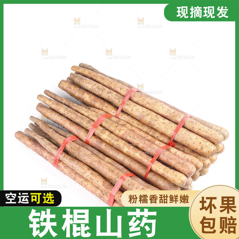 铁棍山药