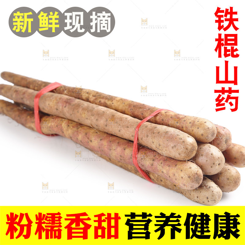 铁棍山药
