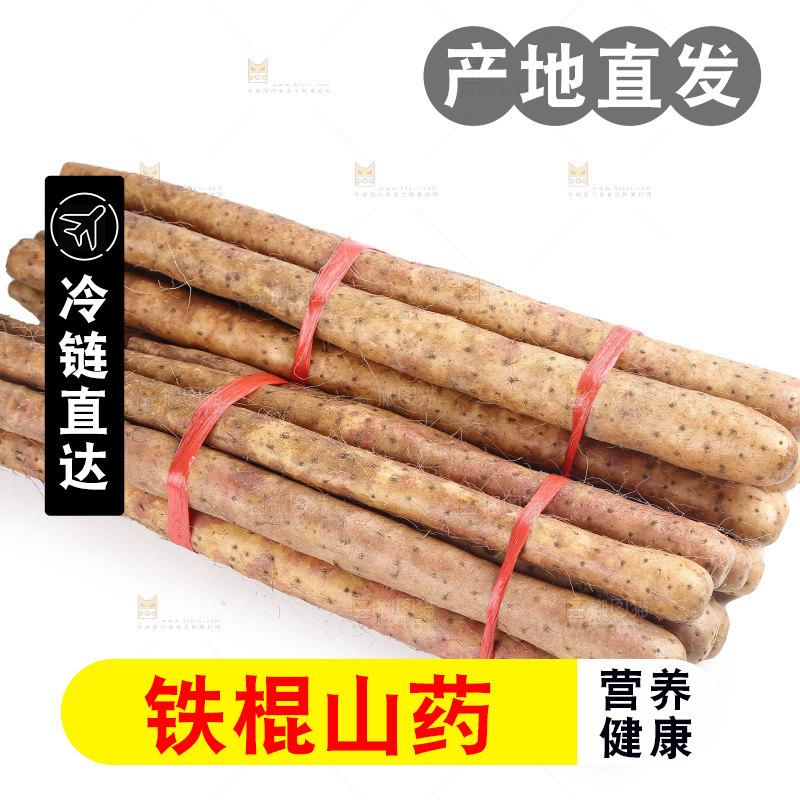 铁棍山药