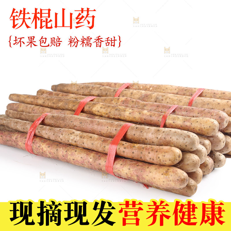 铁棍山药